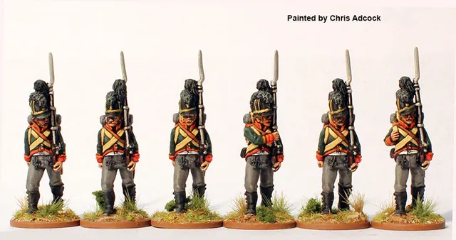 Perry Miniatures Napoleonic NN16 Leib bataillon figurines 28mm