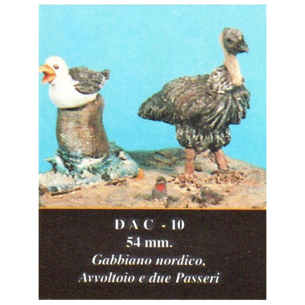 Art Girona Bases Gabbiano nordico oiseaux diorama 54mm
