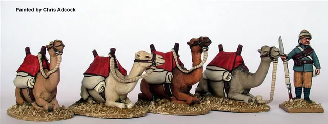 Perry Miniatures Sudan SB44 Chameaux figurine sentinelle lot 5
