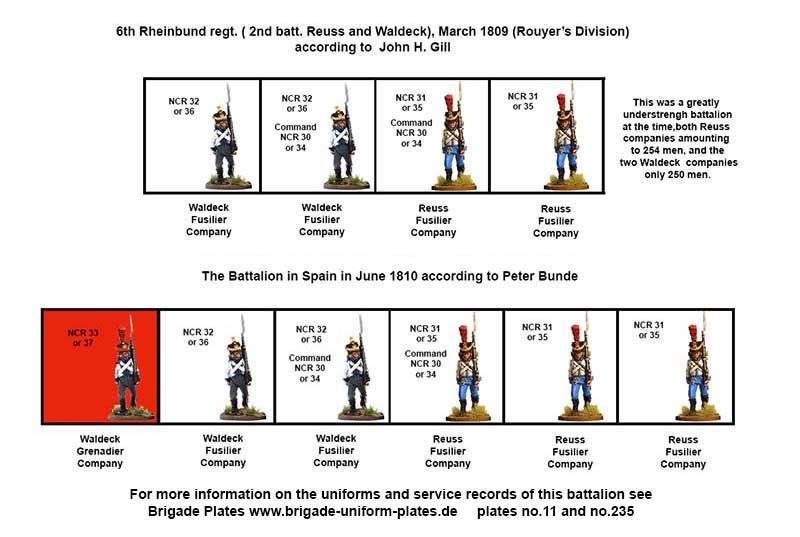 Perry Miniatures Napoleonic NCR 33 Grenadiers Waldeck figurines 1809-13