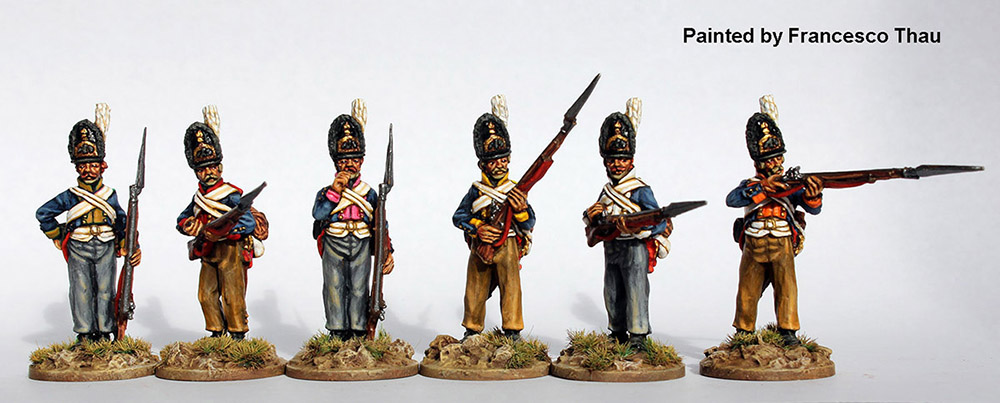Perry Miniatures Napoleonic EP 12 Grenadier figurines 28mm ligne de tir